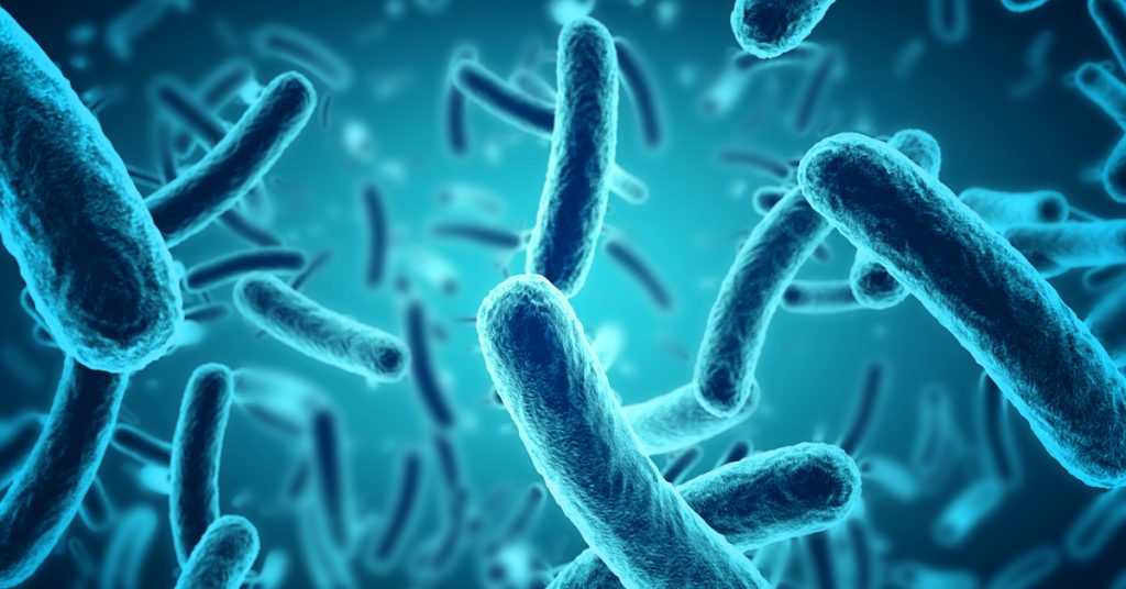 O que são bactérias? – DesPlac®